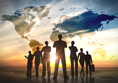 distribution & consulting